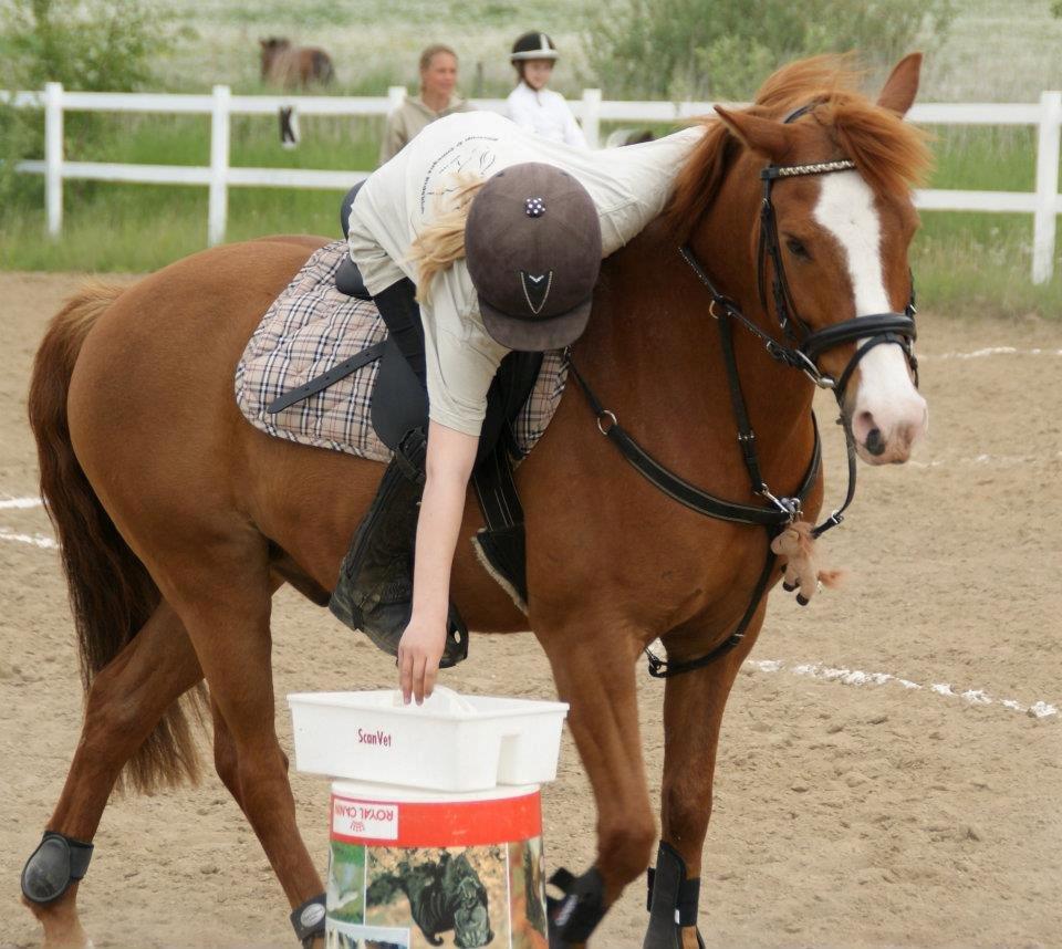 Anden særlig race Tarzan - Ponygames stævne for lidt tid siden...<3 billede 6