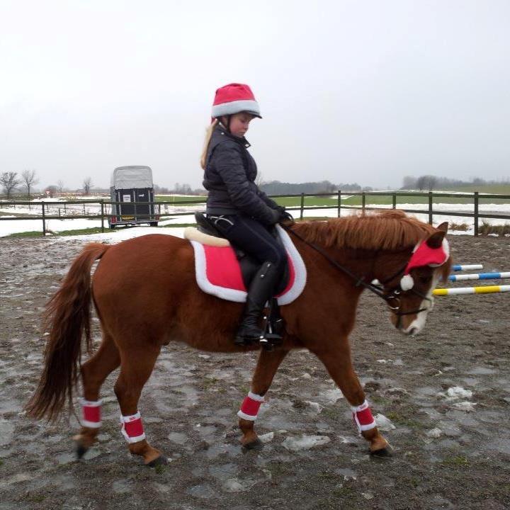 Anden særlig race Tarzan - Julehygge...Juhuu<'3333 billede 4