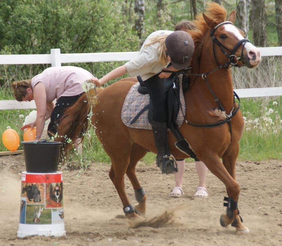 Anden særlig race Tarzan - Ponygames stævne for lidt tid siden.... Men vi vandt (Sammen med Kajsa)<3<3 billede 7