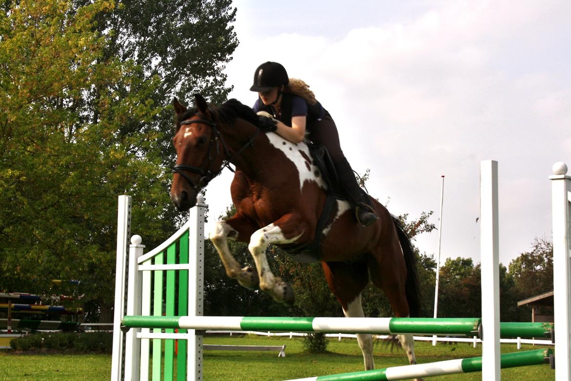 Anden særlig race Hoelgaards Yacardi Tess - D. 10-09-2012 billede 11