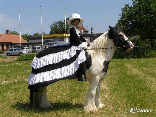 Irish Cob Beer's Paddy billede 2