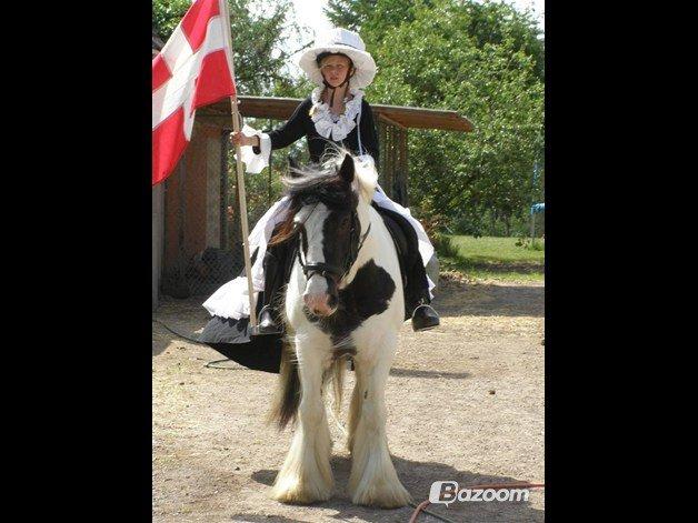 Irish Cob Beer's Paddy billede 3