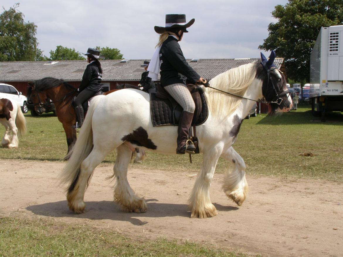Irish Cob Beer's Paddy billede 12
