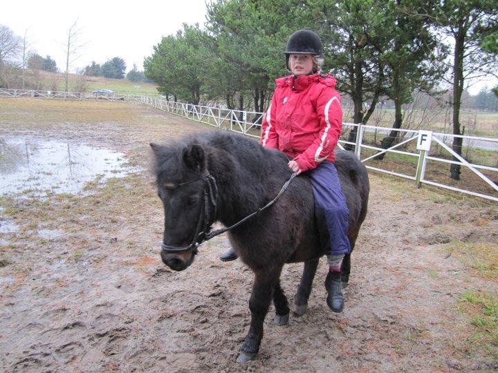 Anden særlig race Buster - Skridtede lidt rundt uden sadel :) billede 4