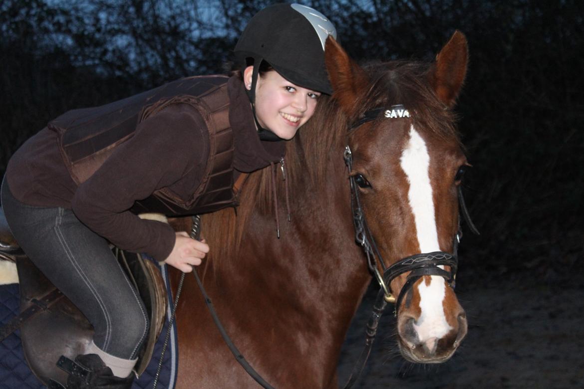DSP Savannah Amour<3  - Elsker dig min dejlige pony !! <3 billede 3