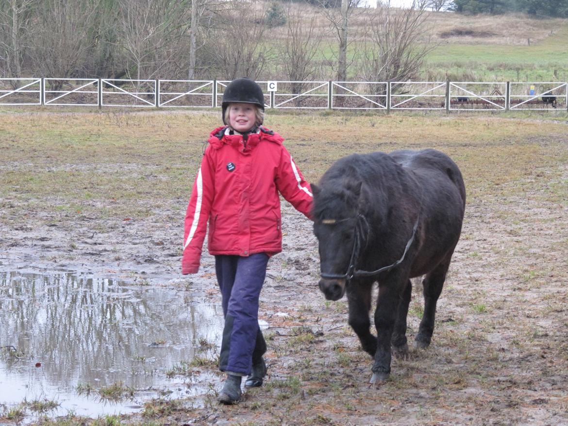 Anden særlig race Buster billede 11