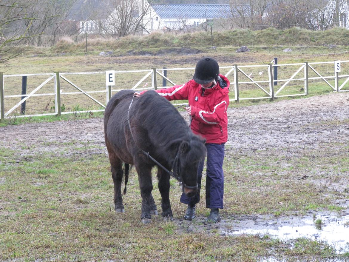 Anden særlig race Buster - Min sko var lidt spændene xD  billede 12