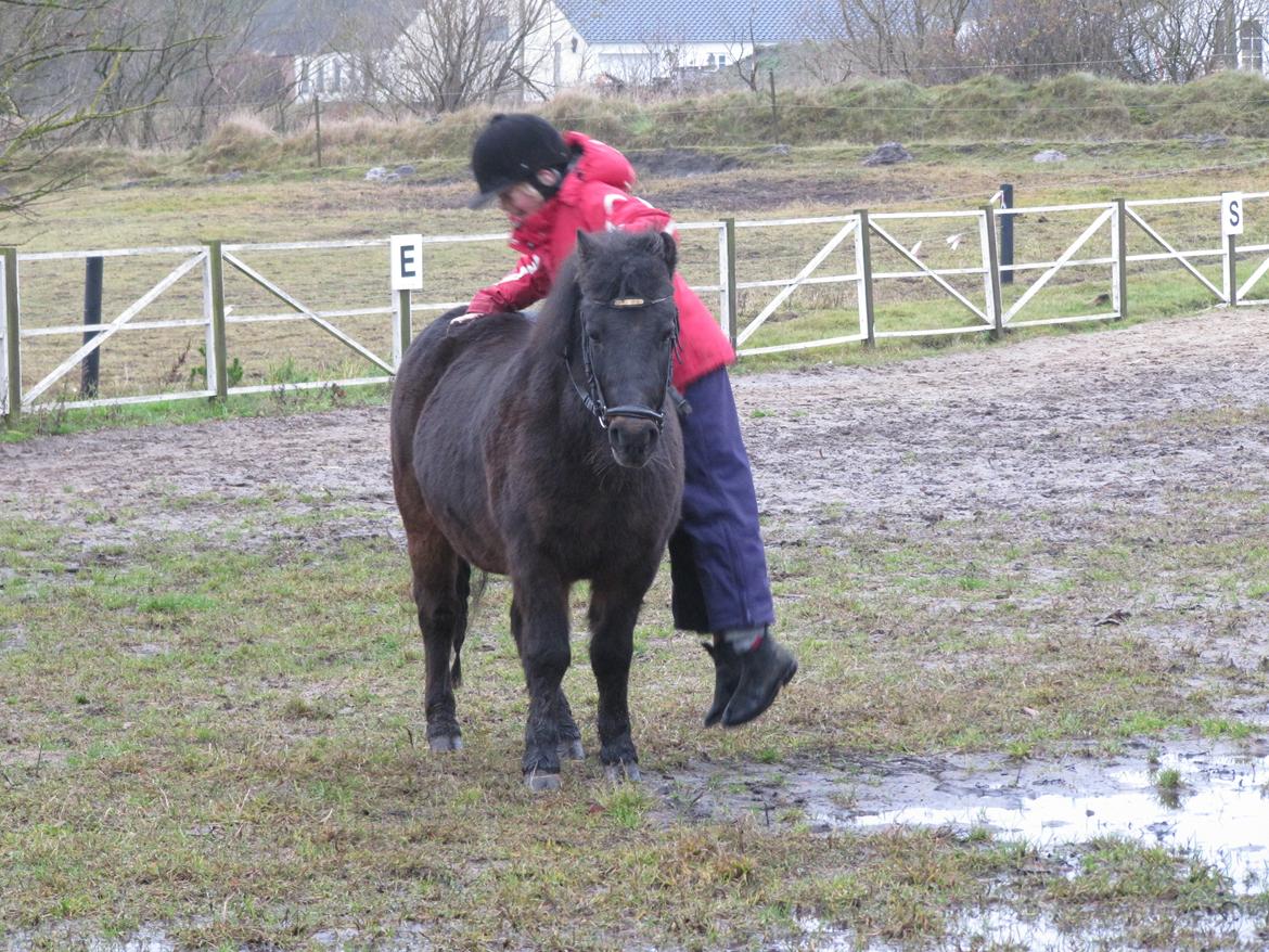 Anden særlig race Buster - 1..2..3 ! Hopla :D  billede 13