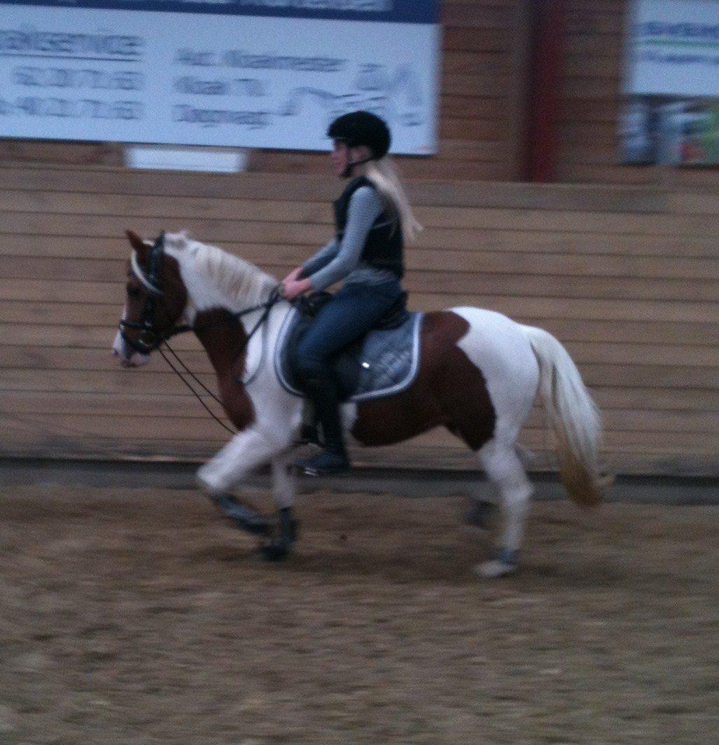Pinto Olivia - sommer 2012. Anine som hjælper med at ride olivia billede 14