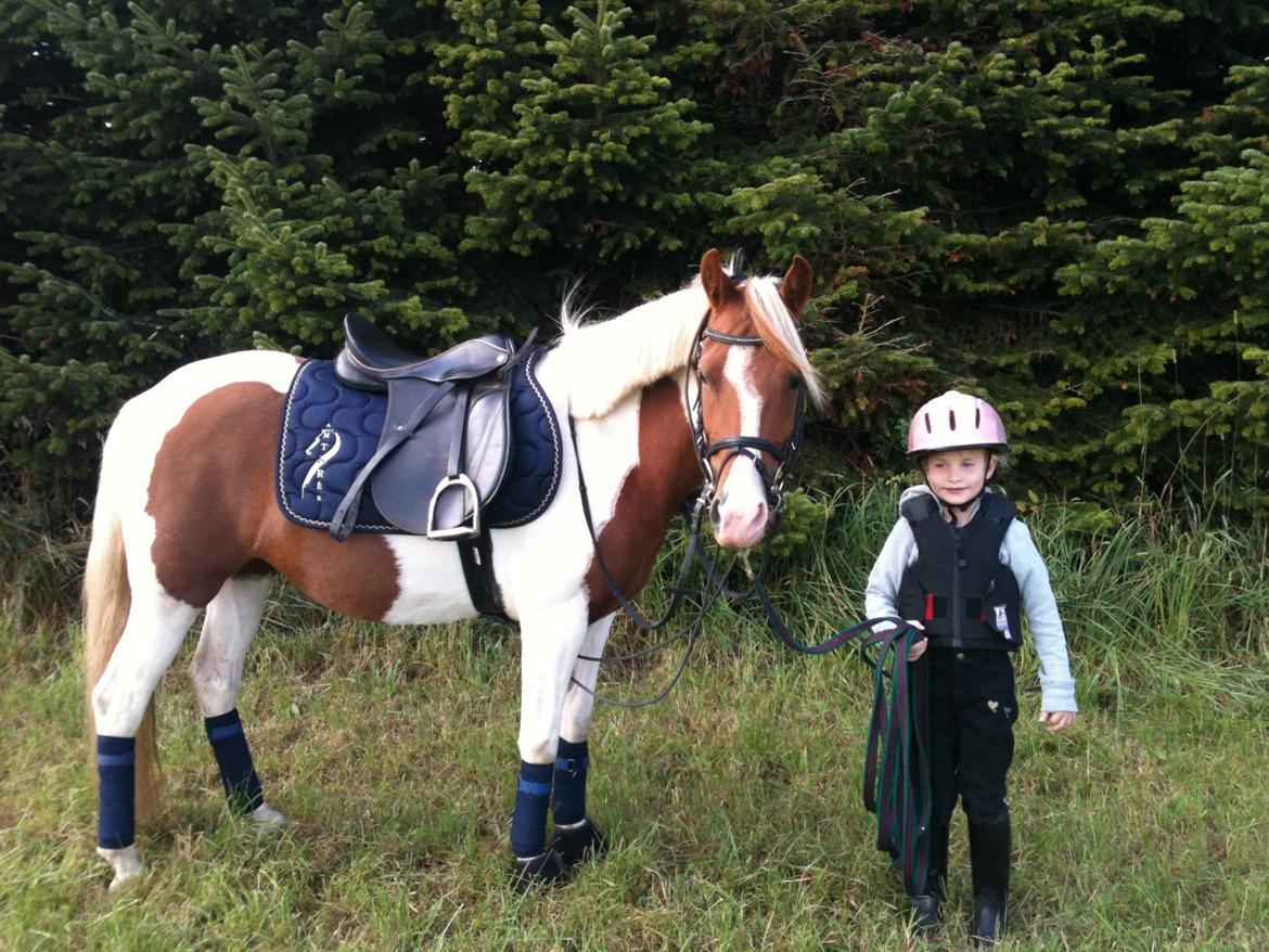 Pinto Olivia billede 17