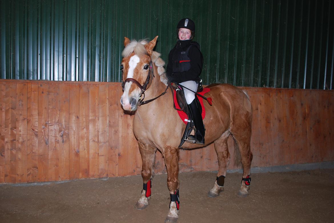 Haflinger Sissi - Sløjfespring 2.dec 2012 billede 16