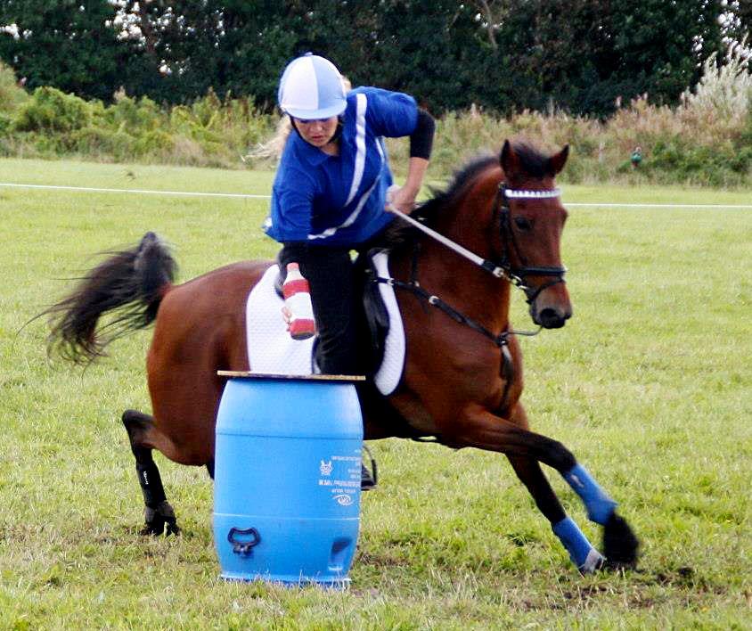 Hollandsk Sportspony Misty billede 6