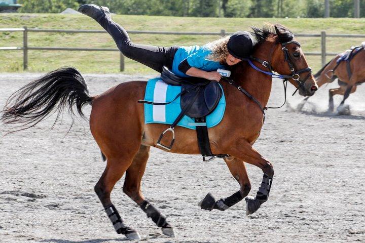 Hollandsk Sportspony Misty billede 15