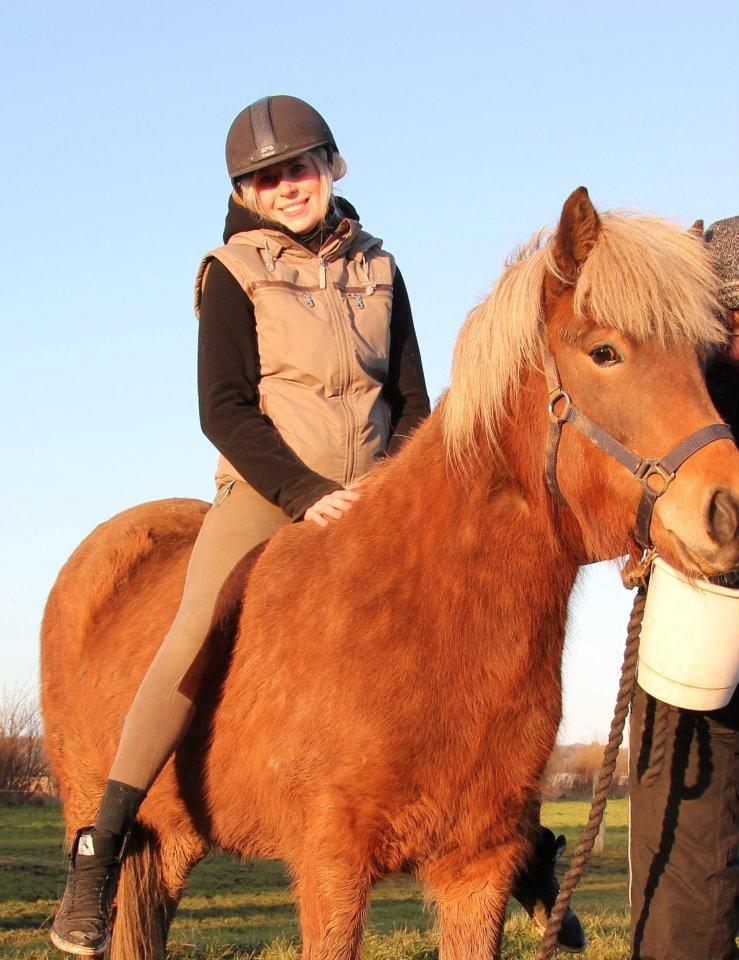 Islænder Stássa fra Søgård - Første gang med rytter :) billede 10