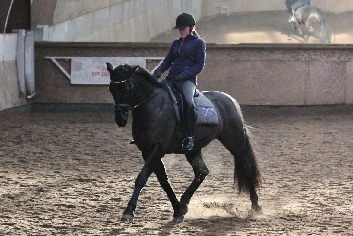 Oldenborg Atlas - Indlæring af travøgeninger.
Fotograf. Sara Justenborg billede 8