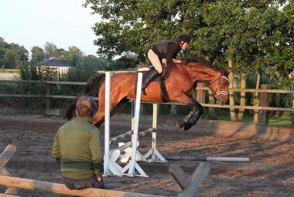 Dansk Varmblod Carentia ~SOULMATE~ - Springlejre 2012!<3 billede 4