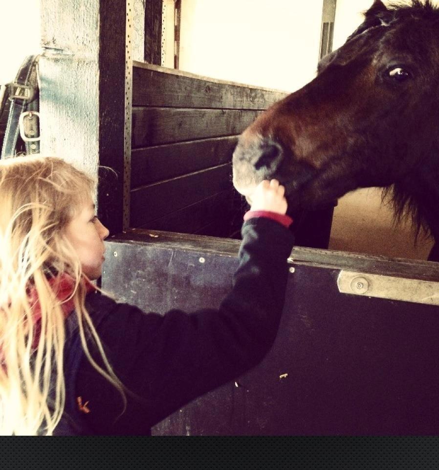 Gotlandsruss Daddy Boy - Til Daddys 18  billede 10