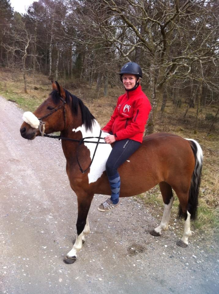 Anden særlig race Athene billede 5