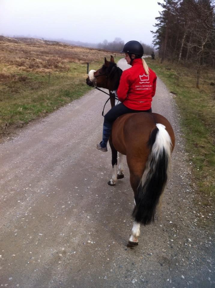 Anden særlig race Athene billede 6