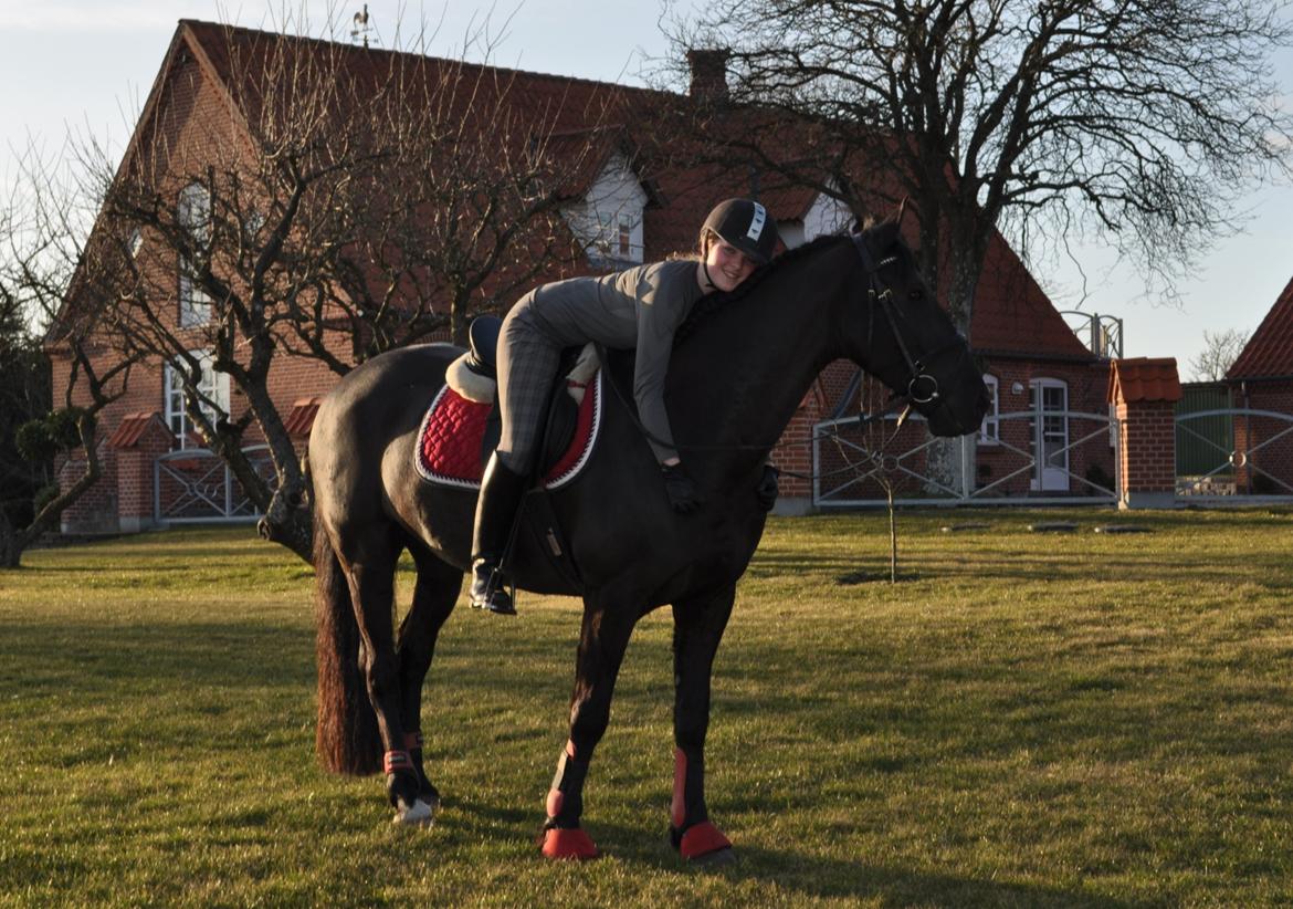 Anden særlig race KJÆRSGAARDS MOONLIGHT - Smukke Monse og jeg i haven efter dressurtræning først i april 2012. billede 34