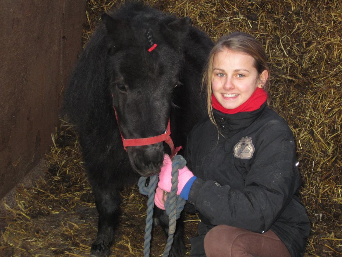 Shetlænder Mejse [Tidl. Passer] - Mig og Mejse oppe i containeren. billede 15