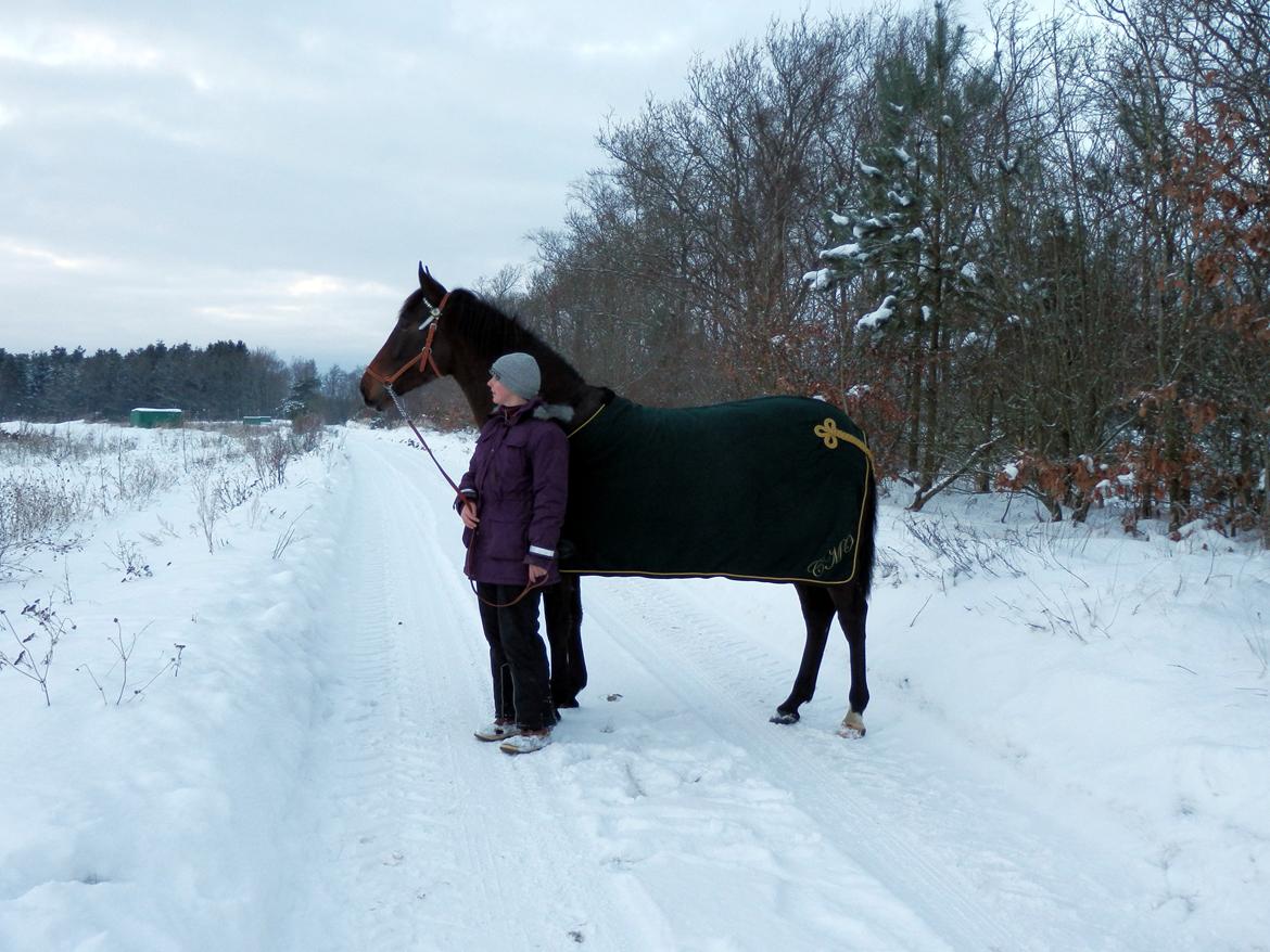 Pura Raza Española Batista Casanova - Gåtur i December '12. billede 2