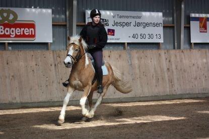 Anden særlig race Disney - Disney og jeg i fuld galop :D billede 16