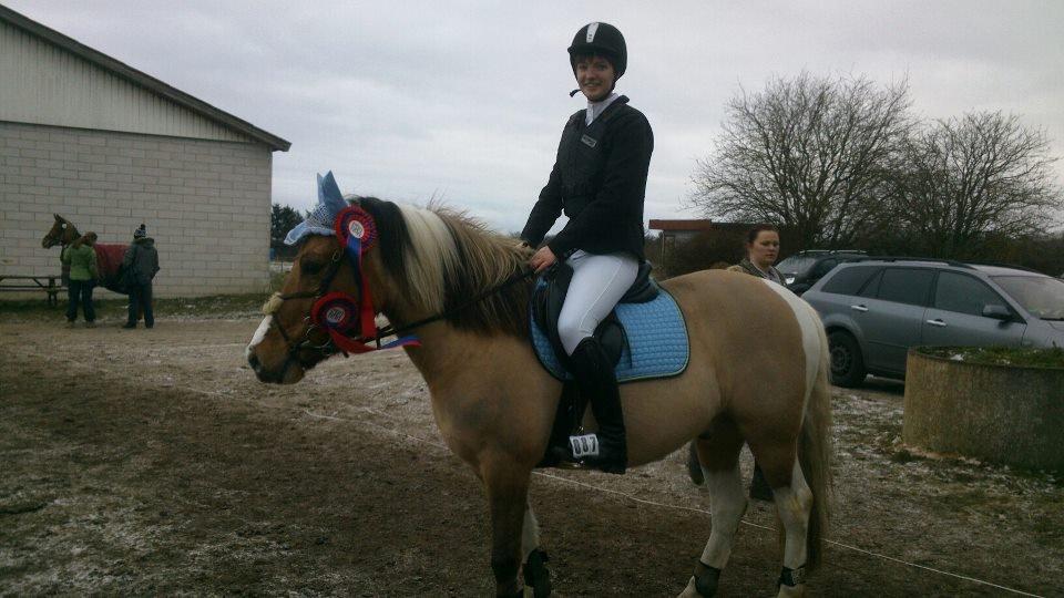 Anden særlig race Charming - Stævne d. 12-01-13 :) nul fejl i både 60 og 70 cm. :) Han var bare en stjerne at have med :)  billede 20