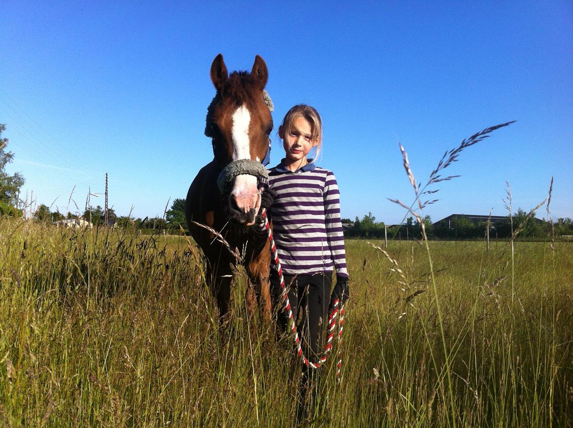 Tysk Sportspony Farina - mig og min søde pony farina billede 5