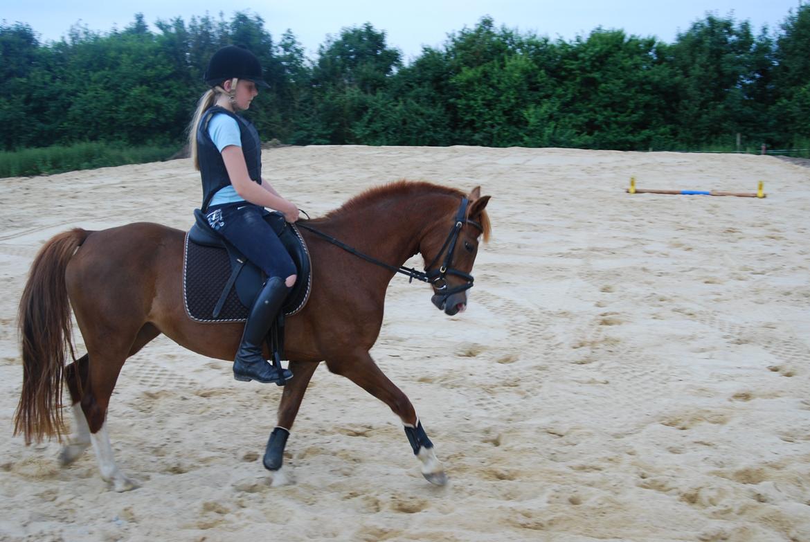 Anden særlig race Apple billede 2