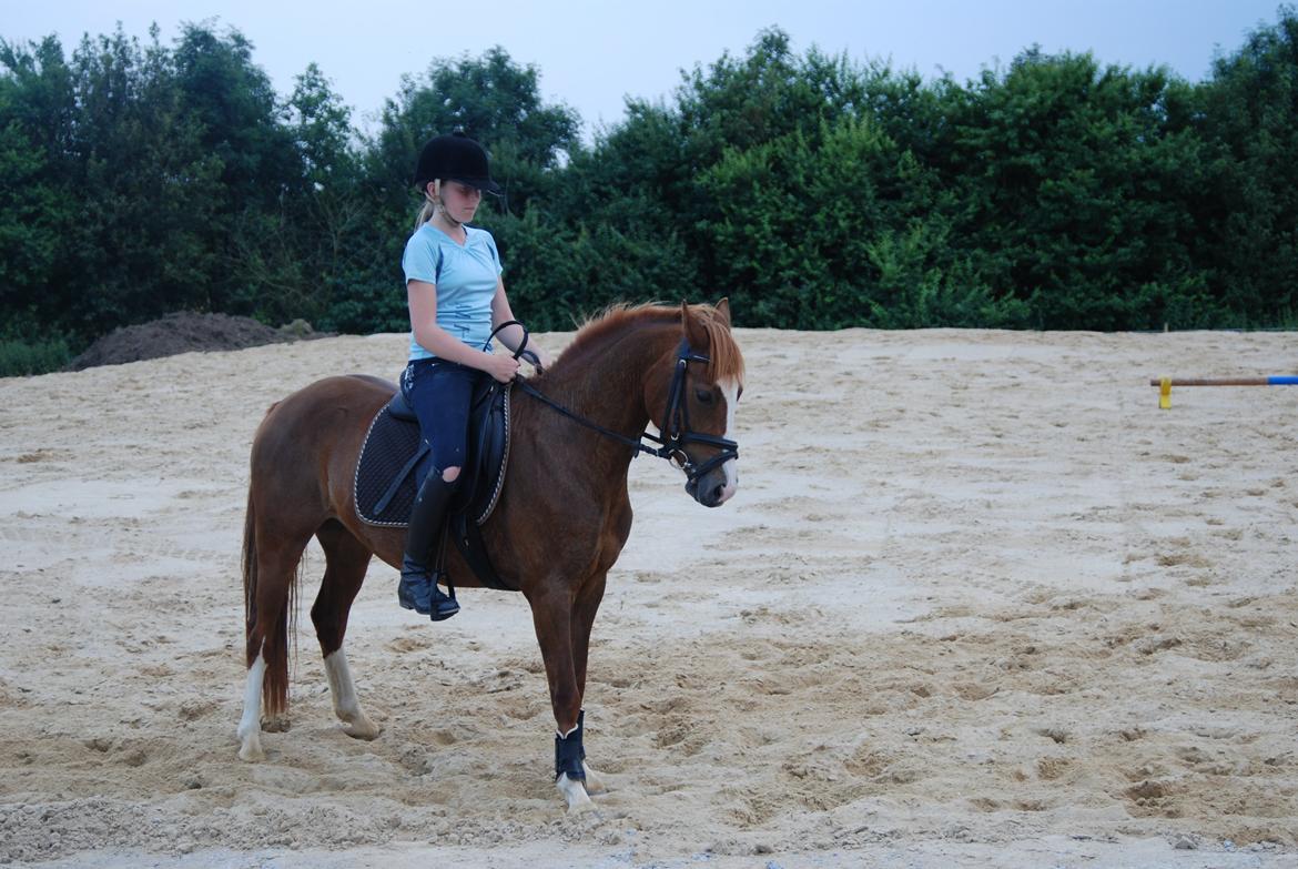 Anden særlig race Apple billede 3