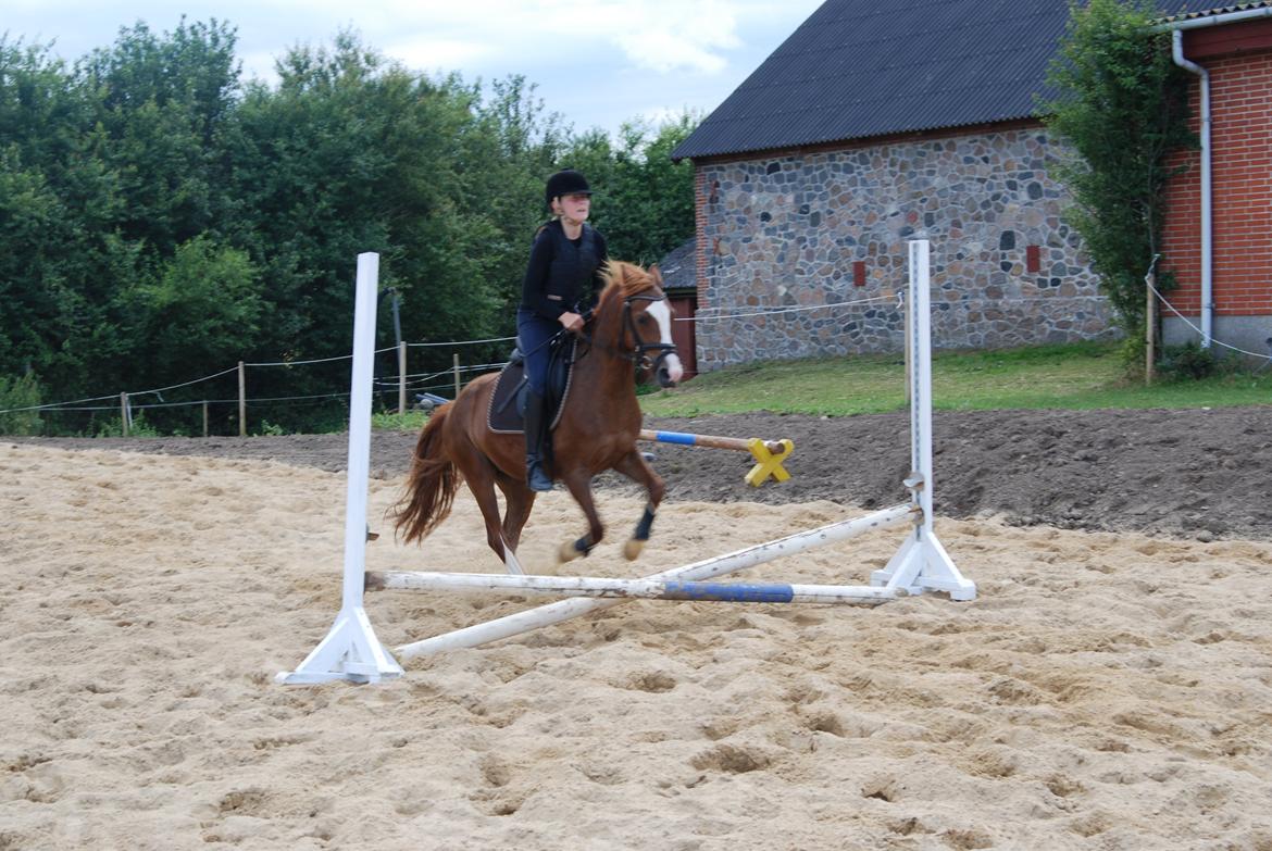 Anden særlig race Apple billede 4