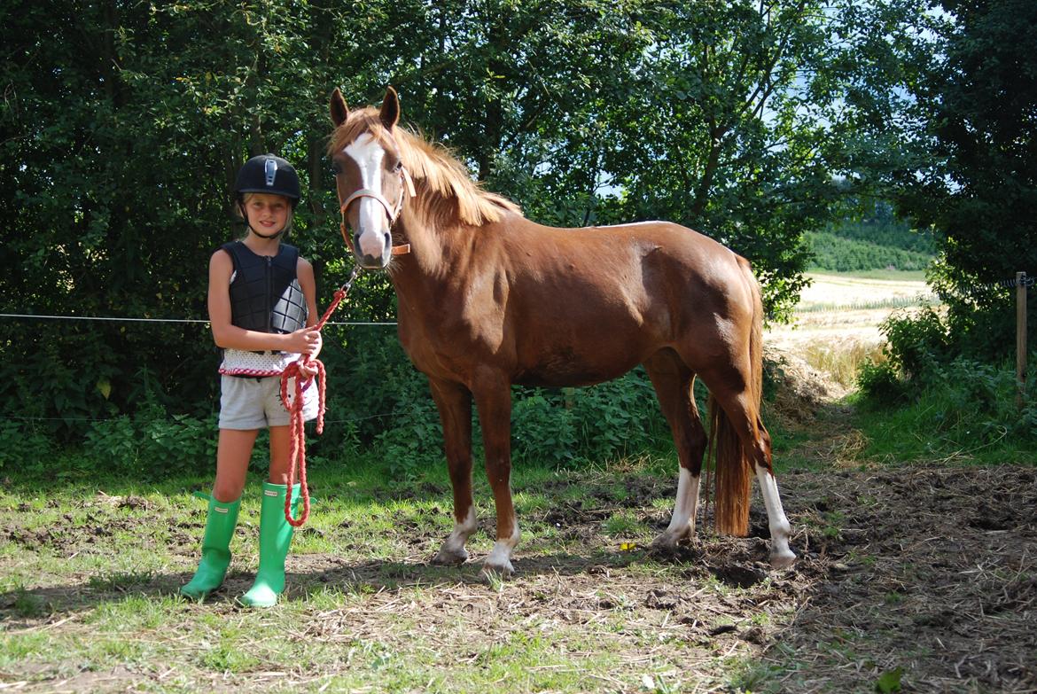 Anden særlig race Apple - mig og Apple billede 1