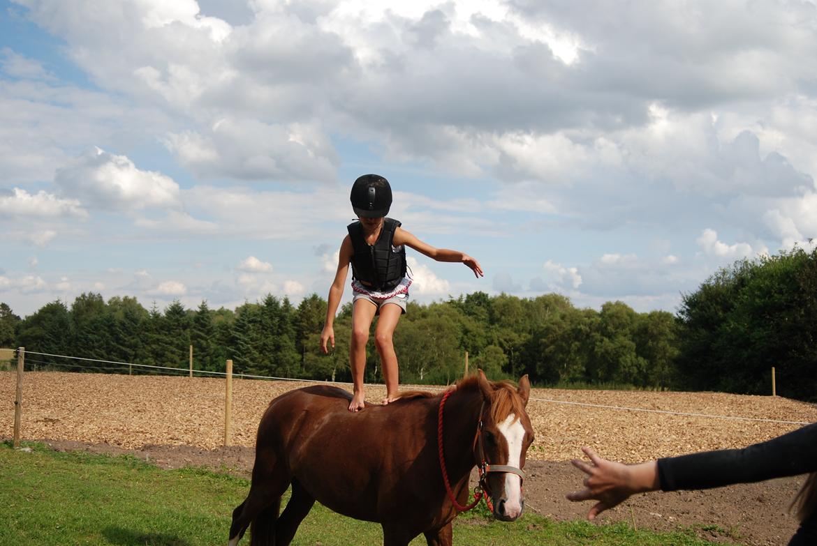 Anden særlig race Apple billede 5