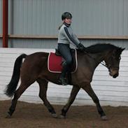 Anden særlig race » Sethos ~