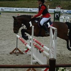 Anden særlig race Sam