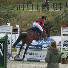 Anden særlig race Sam