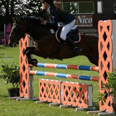 Anden særlig race Sam