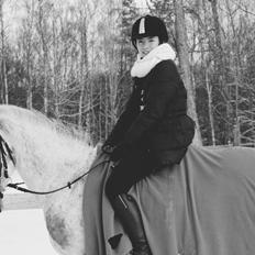 Anden særlig race Doo Dee