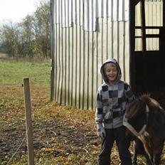 Dansk Miniature Søglimts Sniff