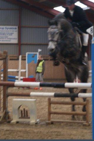 Holstener Corleone -Colle- - Hop hop, hans 3 springstævne billede 12