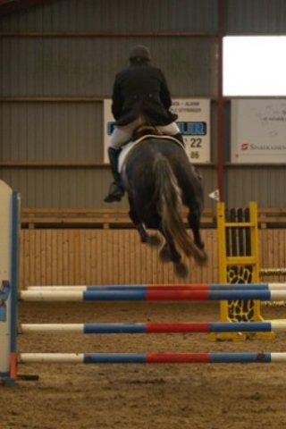 Holstener Corleone -Colle- - Vi må ikke røre.. Hehe :o)
 billede 8