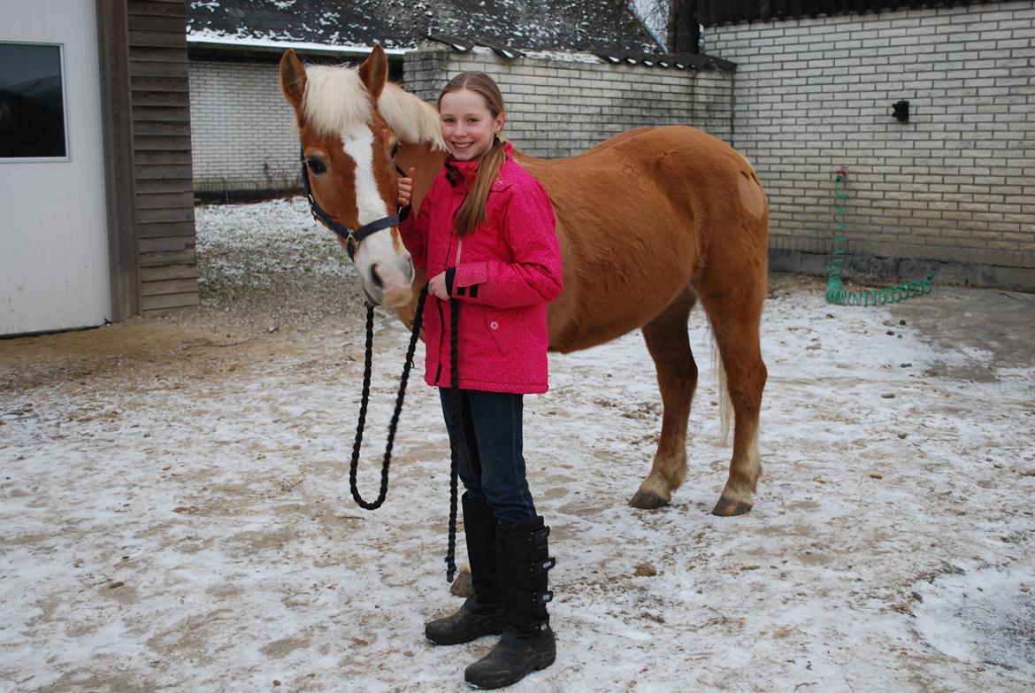 Haflinger Sissi - Søde Sissi og mig <3
Vinteren 2013 billede 12