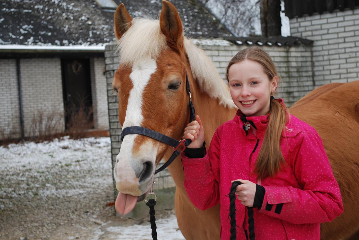 Haflinger Sissi - Hi hi;-) billede 14