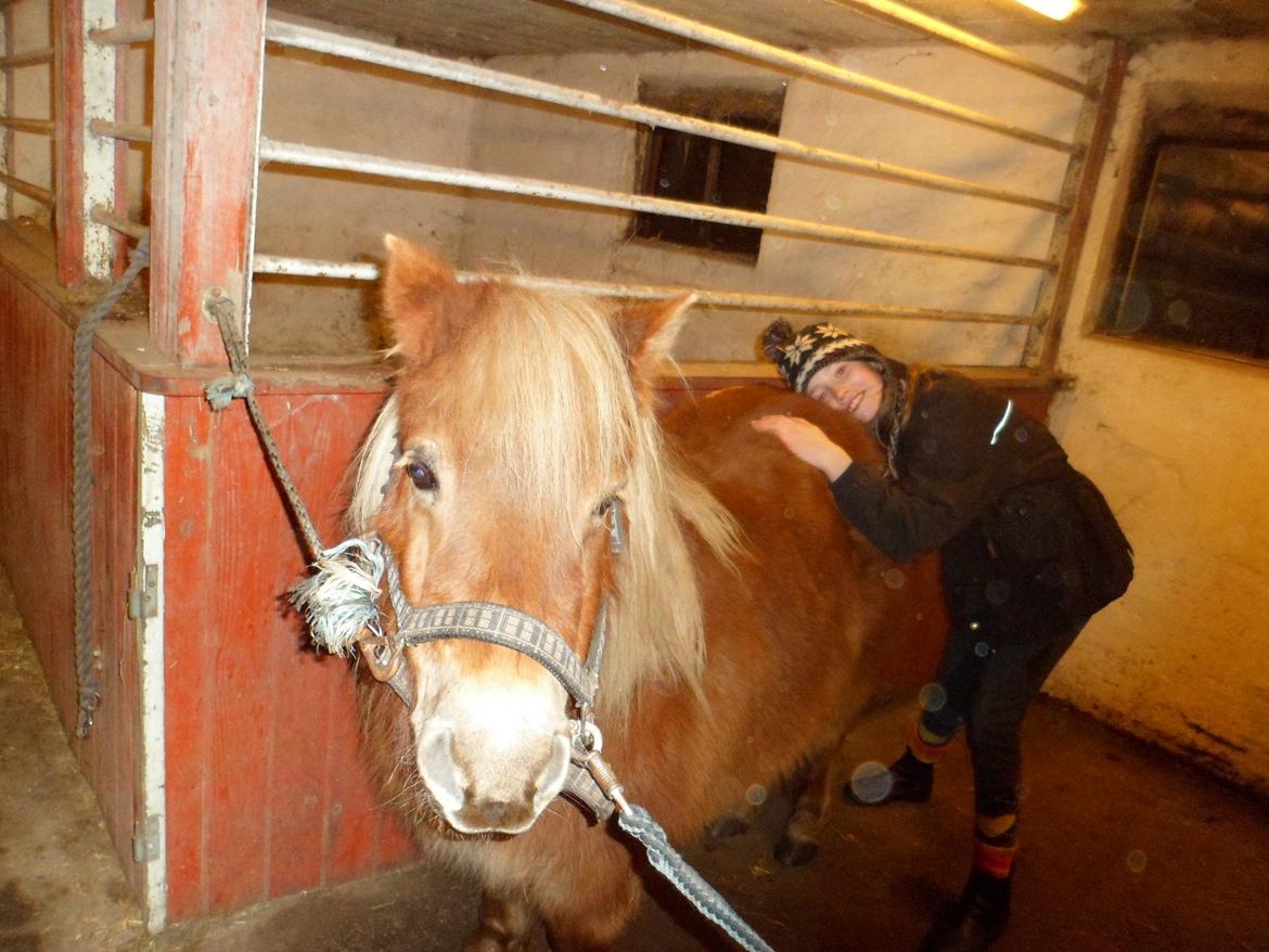 Shetlænder Nelli Hagenstrup billede 5