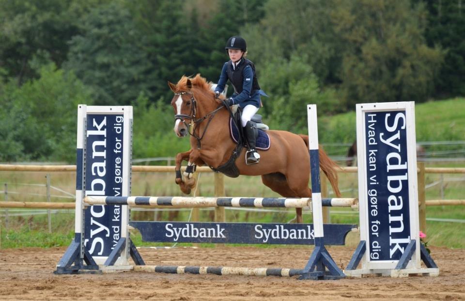 Welsh Cob (sec D) Jet!<3 solgt.. - LA* Boller-rideklub!:-) billede 7