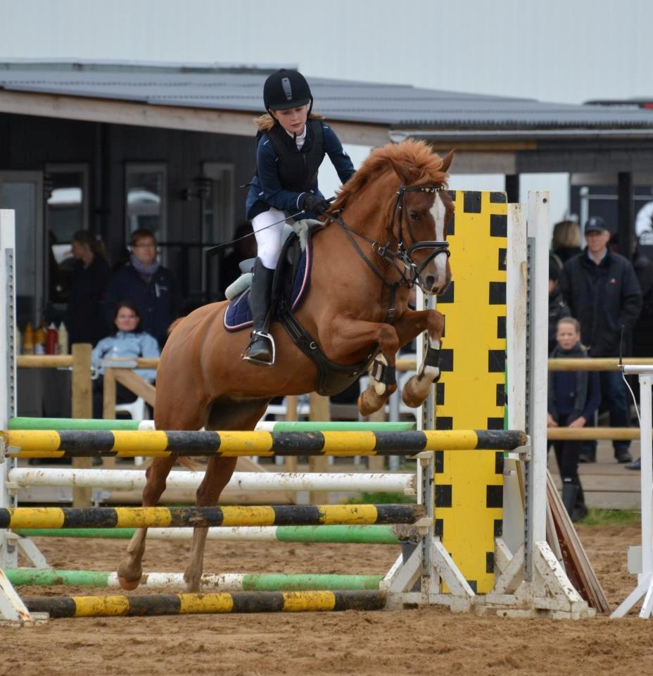 Welsh Cob (sec D) Jet!<3 solgt.. - LA* Boller.rideklub!:-) billede 8