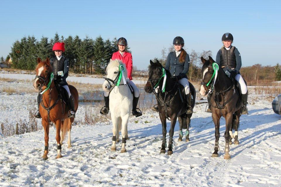 Welsh Cob (sec D) Jet!<3 solgt.. - 3Pl. til Boller hold cup! :-)  billede 9
