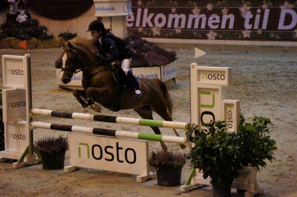 Welsh Cob (sec D) Jet!<3 solgt.. - Vilhemsborg!:-) LA** billede 10