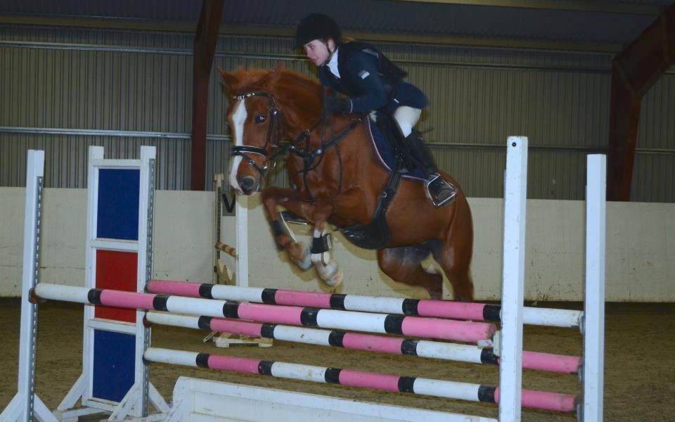 Welsh Cob (sec D) Jet!<3 solgt.. - MB** Boller-rideklub!:-) billede 11